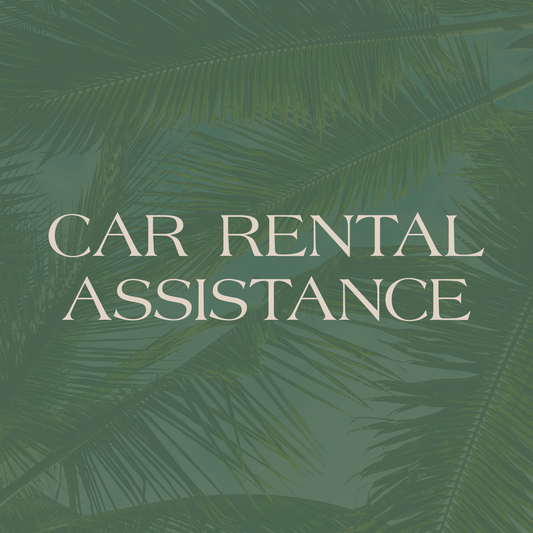 Car Rental Assistance