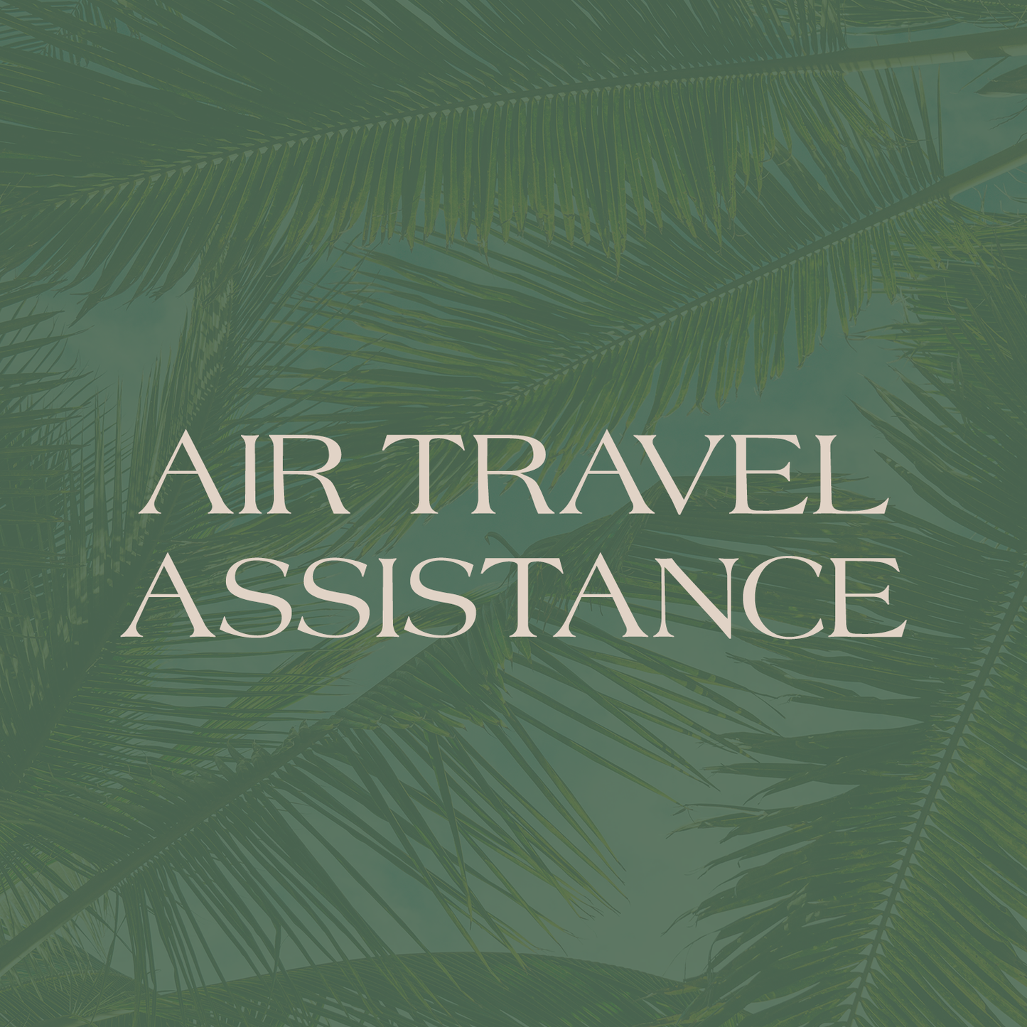 Air Travel Assistance